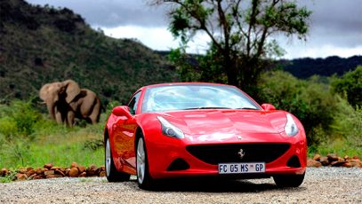 ferrari,california t